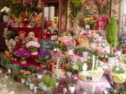東京都国分寺市の花屋　フラワーショップ花咲
