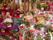 東京都国分寺市の花屋　フラワーショップ花咲